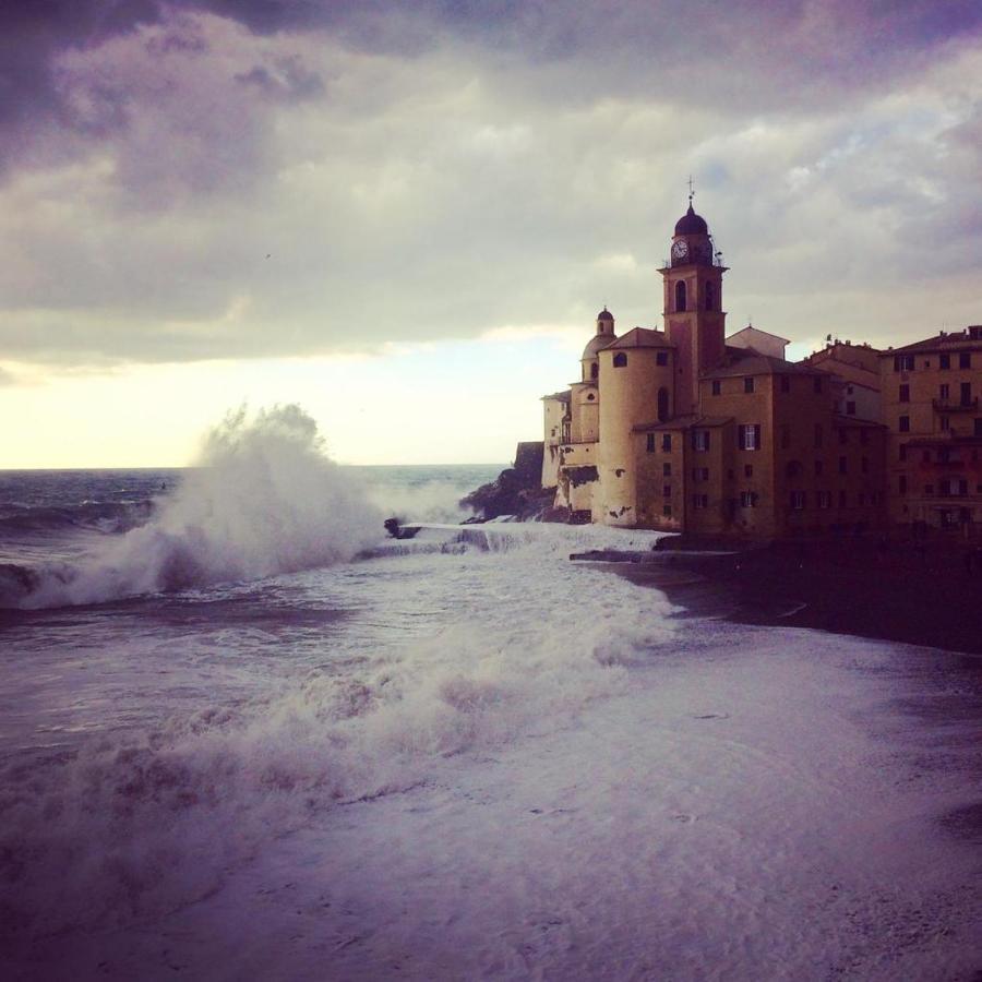 La Casa Della Fiore Camogli Exterior photo